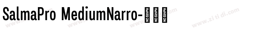 SalmaPro MediumNarro字体转换